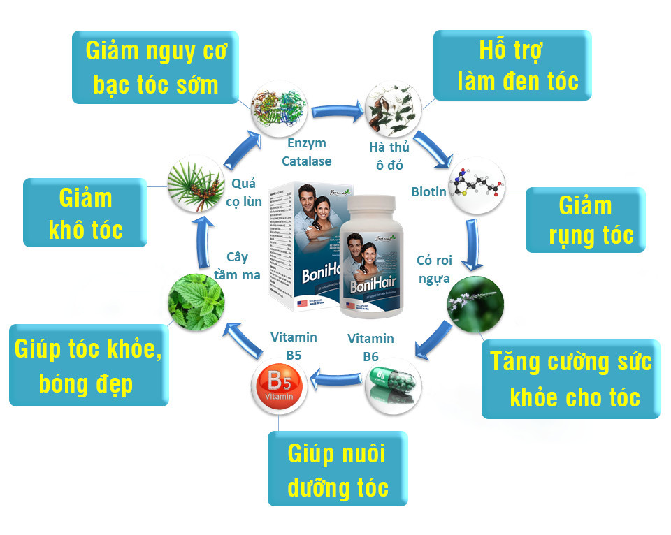 Thành phần toàn diện của BoniHair