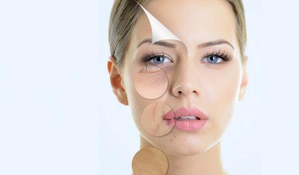 Sữa ong chúa giúp ngăn ngừa lão hóa