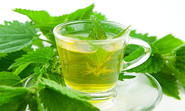 Sắc uống cây tầm ma là cách dùng truyền thống, làm giảm tác dụng của thảo dược
