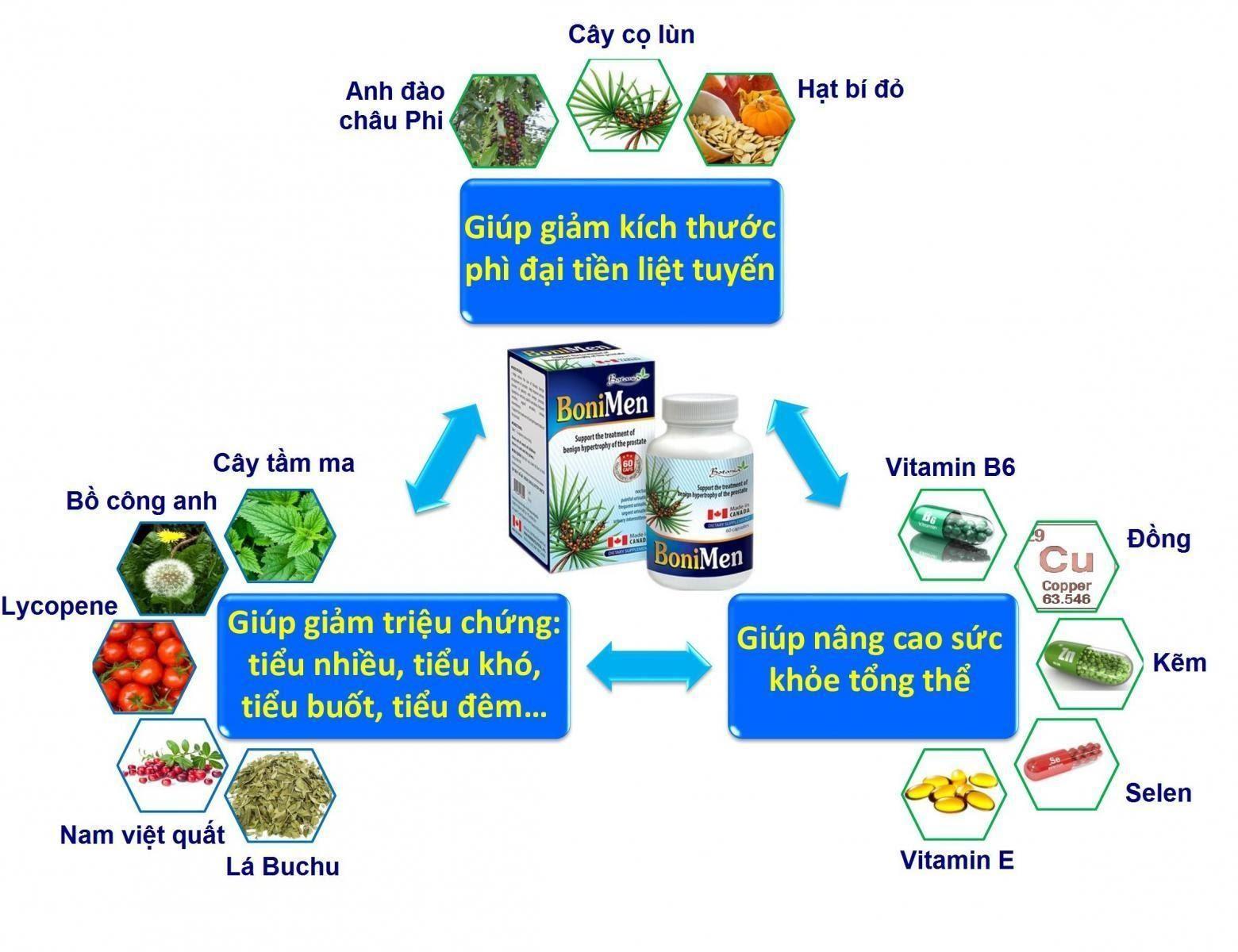 Cơ chế tác dụng đột phá của sản phẩm BoniMen