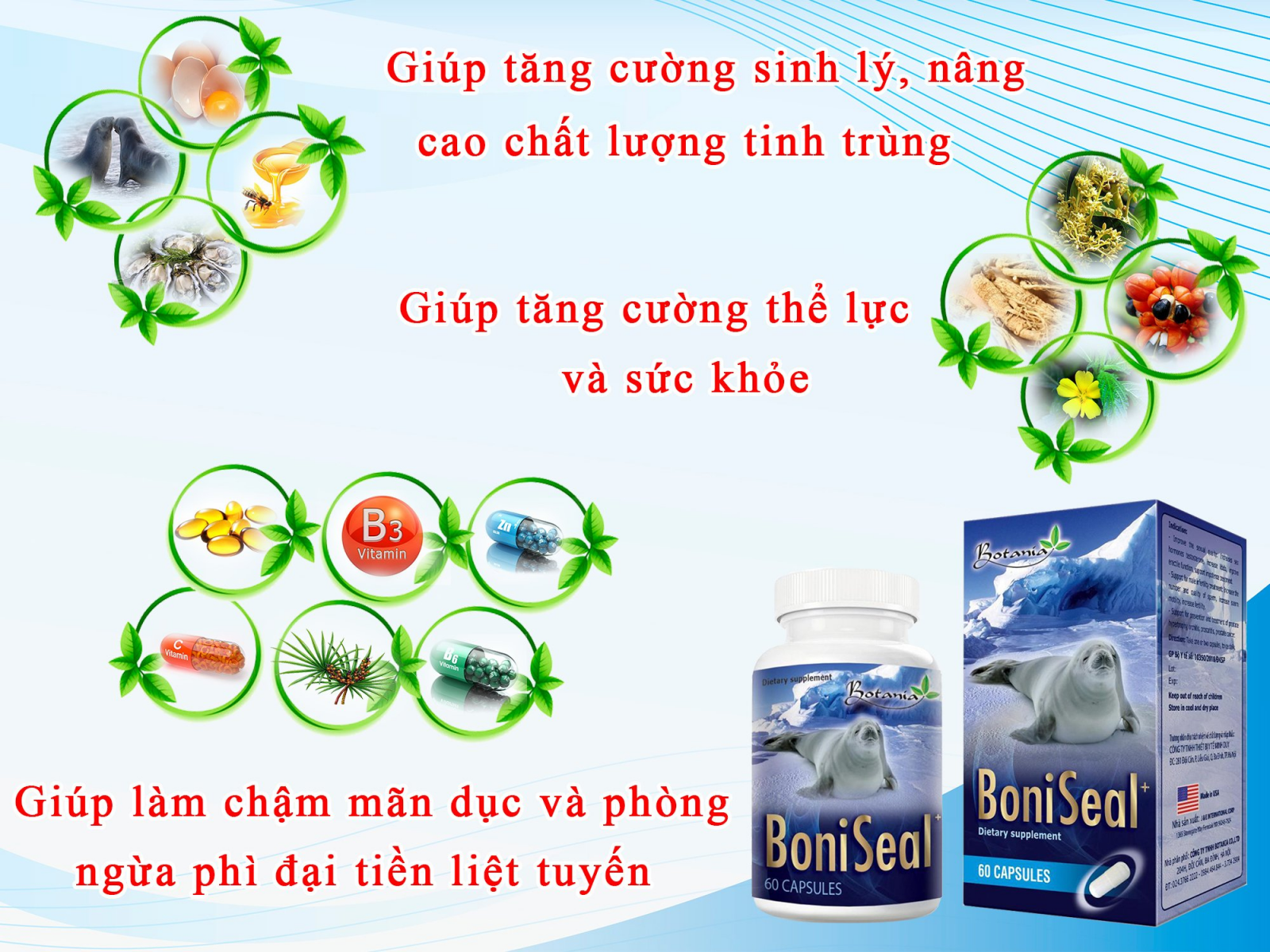 Công dụng của BoniSeal +