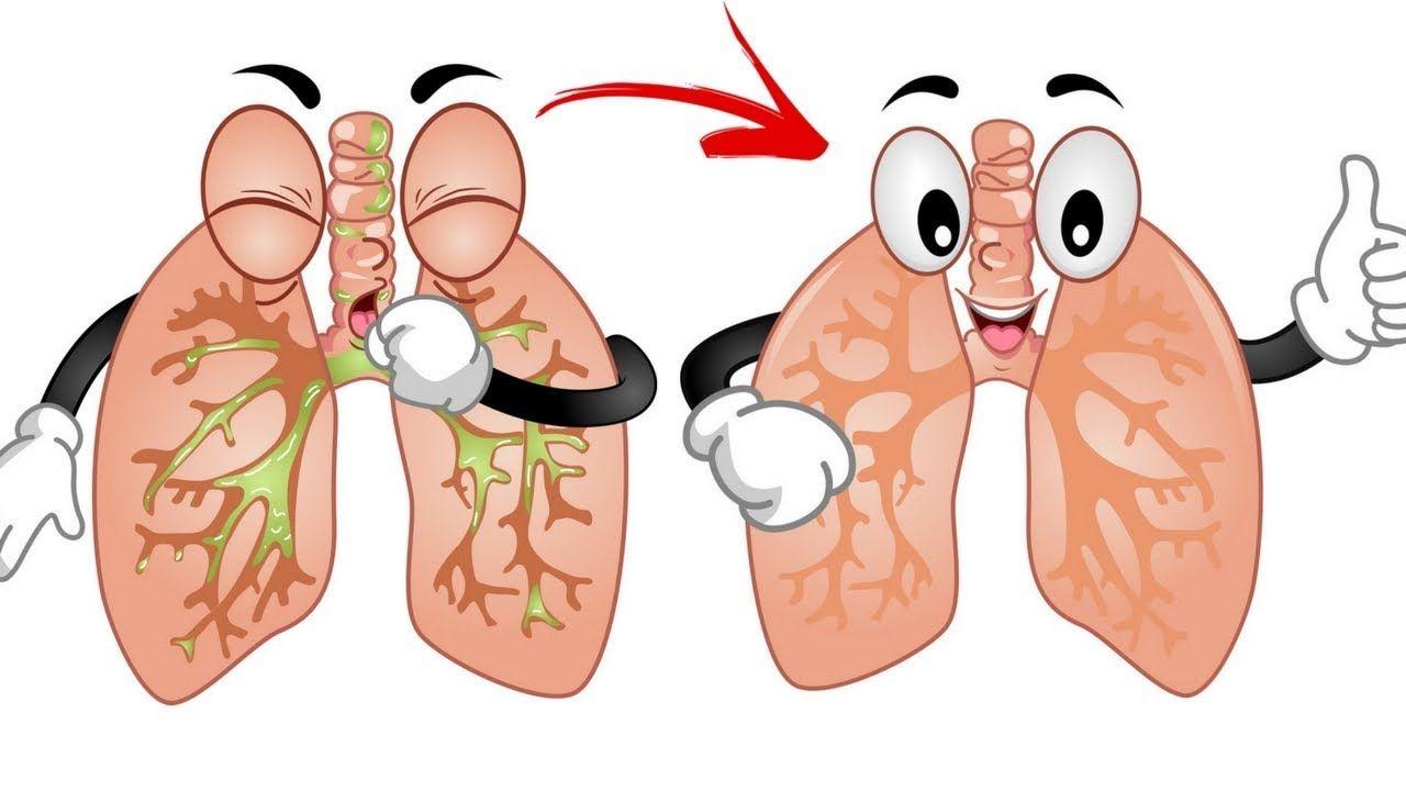 Dấu hiệu cảnh báo phổi yếu? - Bí kíp giúp bạn có lá phổi khỏe mạnh