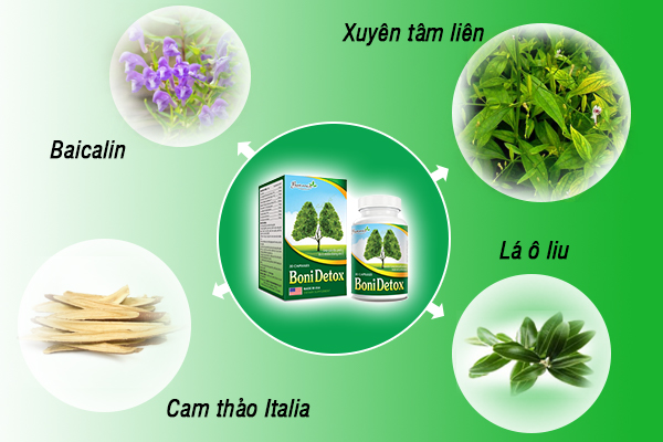 Thành phần của BoniDetox