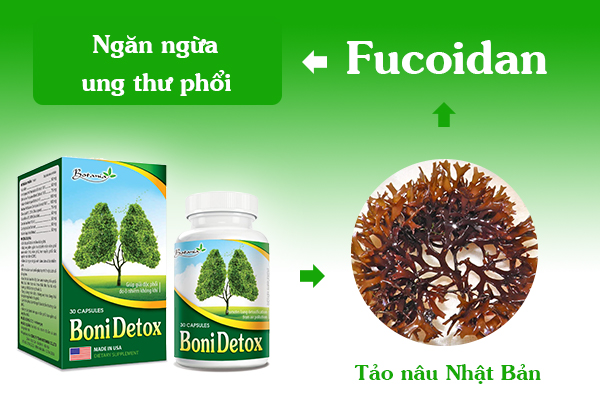 BoniDetox - Giải pháp đột phá giúp cải thiện tình trạng khó thở về đêm