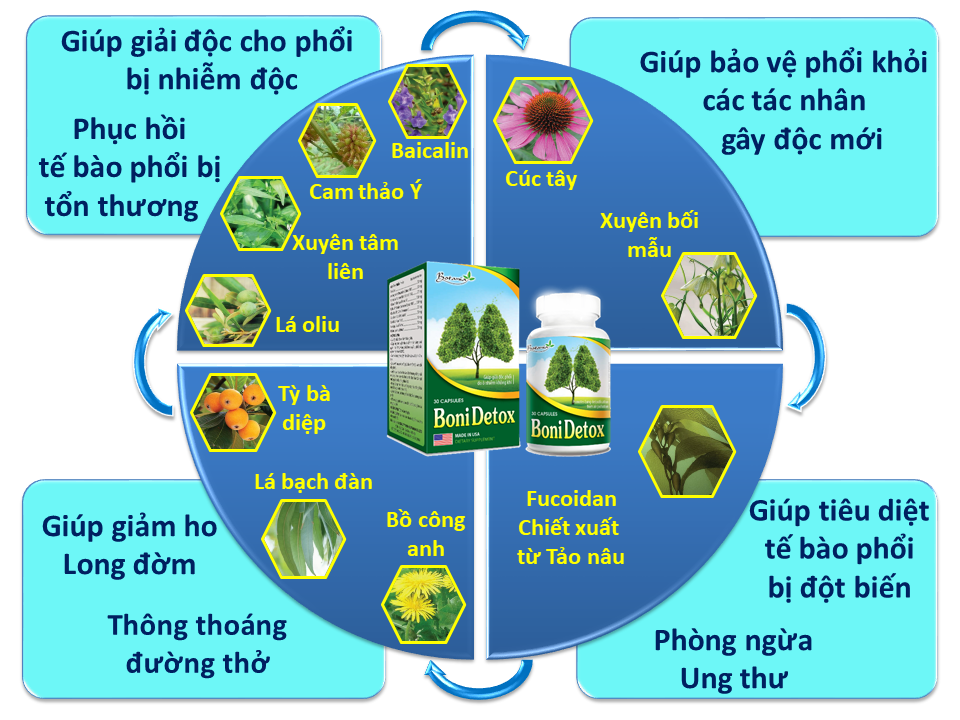 BoniDetox đem lại hiệu quả vượt trội nhờ các thảo dược tự nhiên