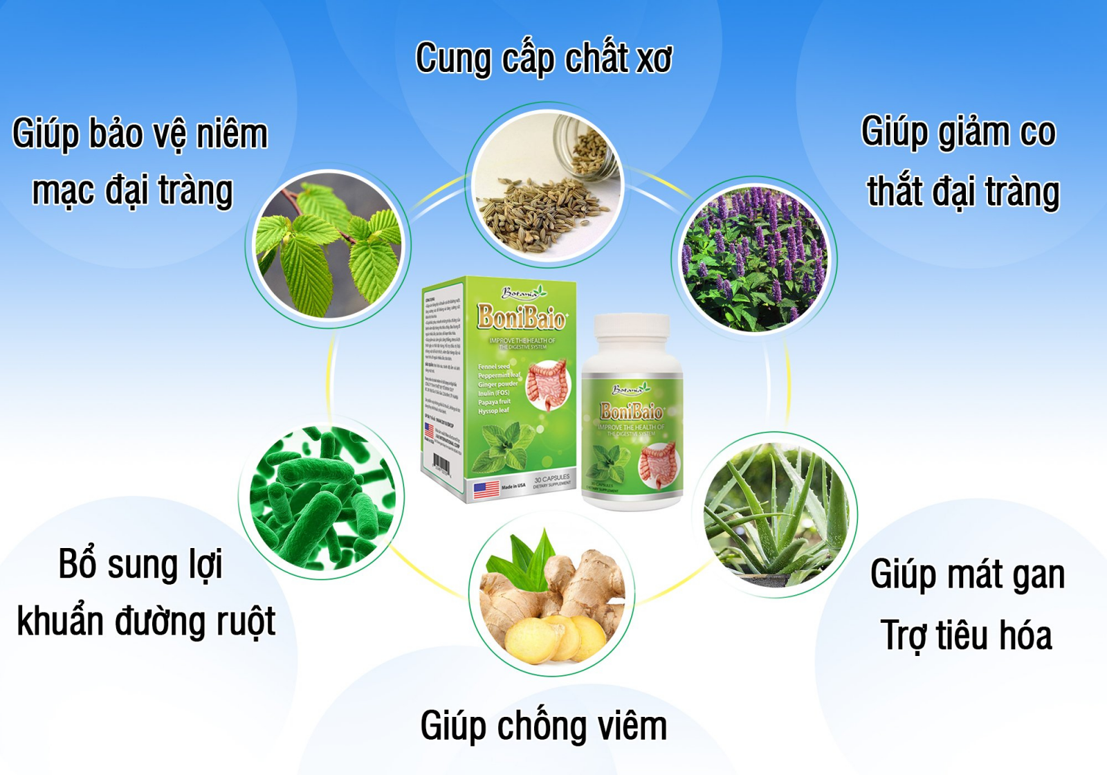  Thành phần toàn diện của sản phẩm BoniBaio +