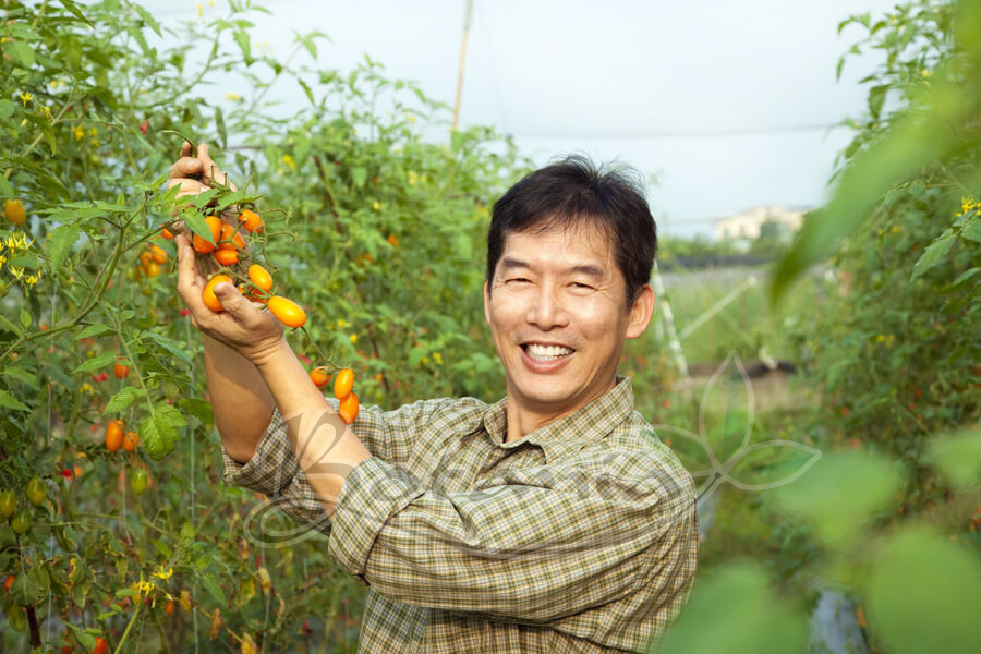 Hưng Yên: Từ Ngày chú dùng BoniDiabet mắt đã sáng rõ hơn nhiều rồi